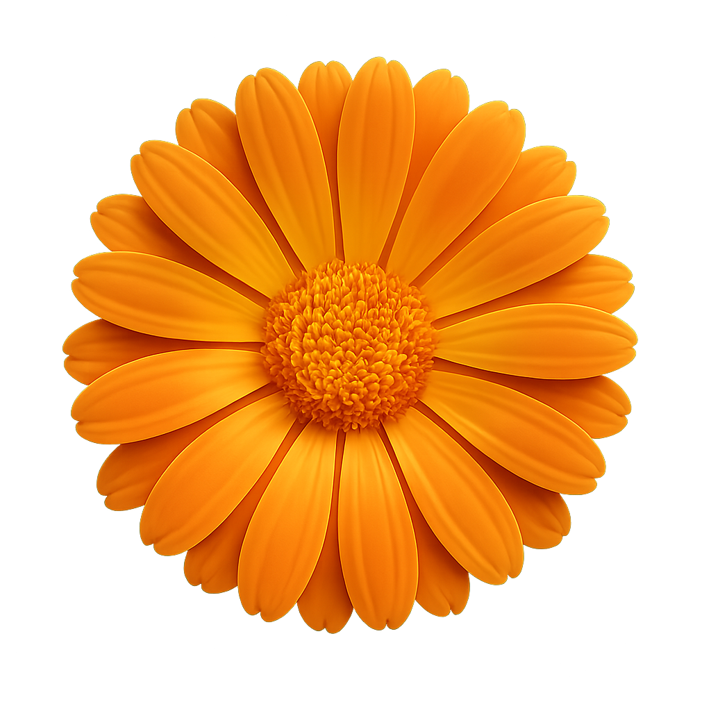 Calendula Pro
